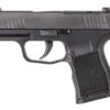 sig sauer p365 380