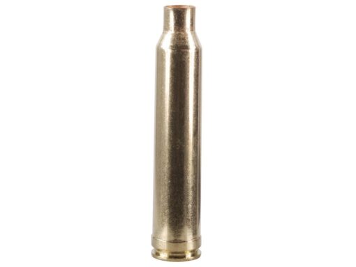 300 win mag brass